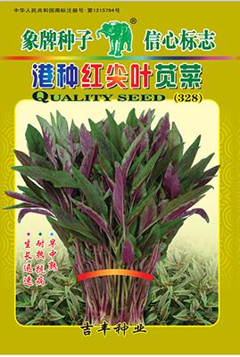 港种红尖叶苋菜328