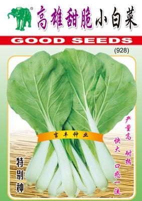 高雄甜脆小白菜(928)