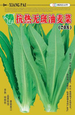 抗热无斑油麦(208)