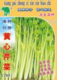 港种白骨黄心芹菜(268)