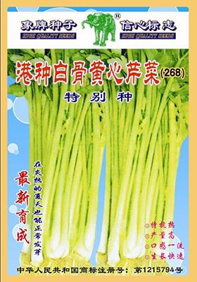 港种白骨黄心芹菜(268)特别种