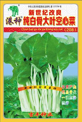 新世纪港种改良纯白骨大叶空心菜(208)