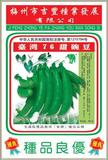 改良台湾奇珍76甜豌豆