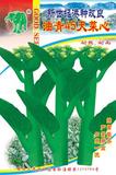 新世纪港种改良油青45天菜心