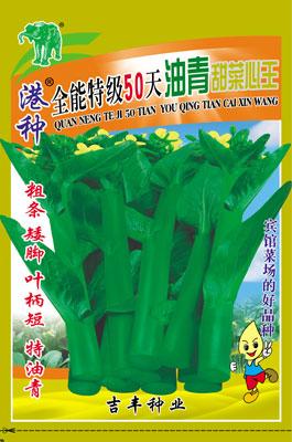全能特级50天油青甜菜心