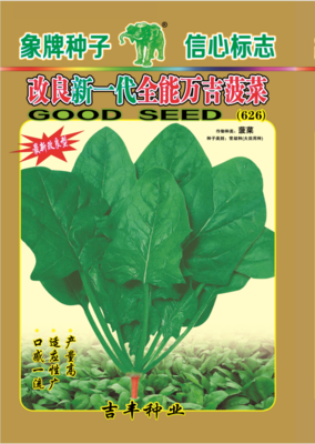 改良新一代全能万吉菠菜（626）