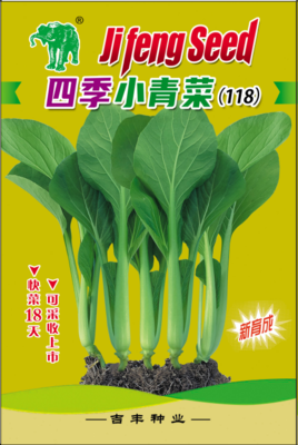 四季小青菜