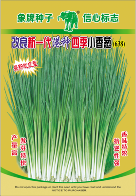 改良新一代港种四季小香葱（638）