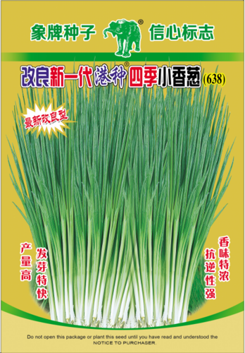 改良新一代港种四季小香葱（638）