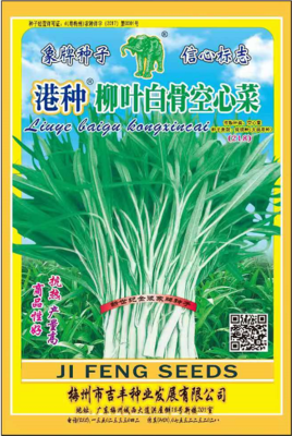 柳叶白骨空心菜（218）