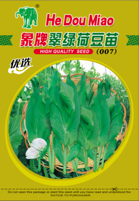 象牌翠绿荷豆苗（007）
