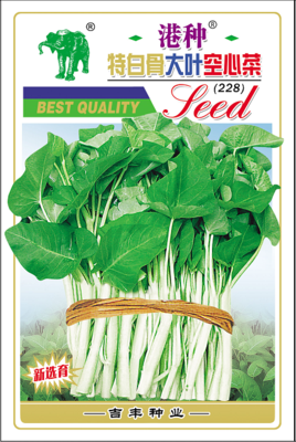 大叶白梗空心菜