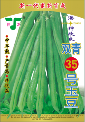 新一代最新育成港种改良双青35号玉豆