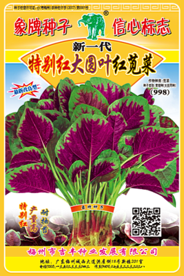 特别红大圆叶红苋菜998