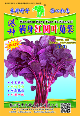 满身红圆叶苋菜(333)