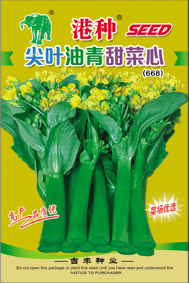 港种尖叶油青菜心（668）