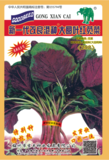新一代改良港种大圆叶红苋菜（298）