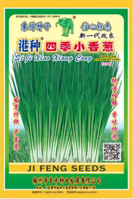 新一代改良港种四季小香葱（228）