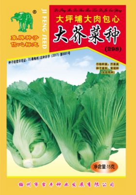 大坪铺大肉包心大芥菜种