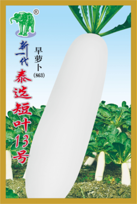 新一代泰选短叶13号早萝卜（863）