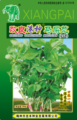 改良港种马屎苋 218