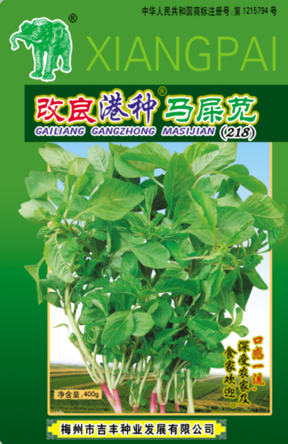 改良港种马屎苋 218