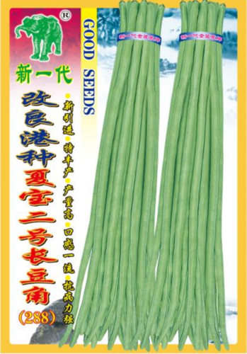 新一代改良港种夏宝二号长豆角（288）