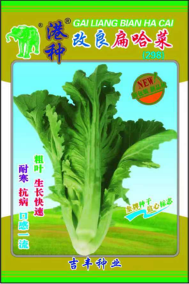 港种改良扁哈菜