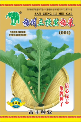 梅州三梗里梅菜