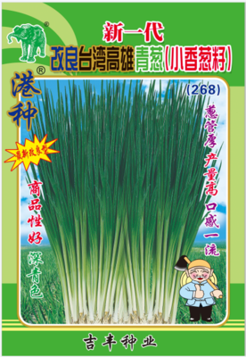 新一代改良台湾高雄青葱（小香葱籽）（268）
