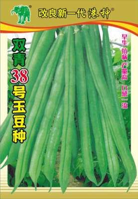 改良新一代港种双青38号玉豆种