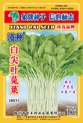 港种白尖叶苋菜（801）