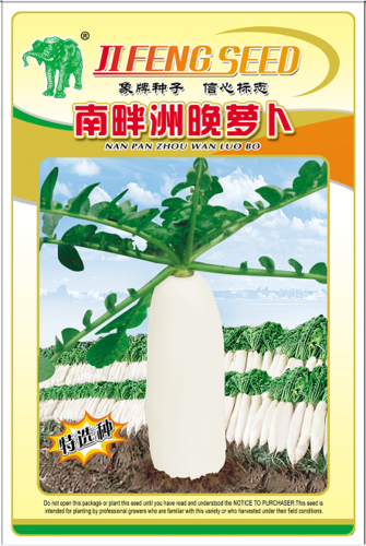 南畔洲迟萝卜
