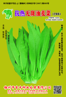 抗热无斑油麦208