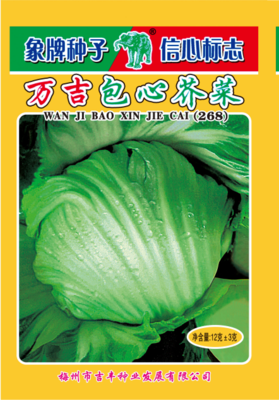 包心芥菜