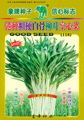 港种粗梗白骨柳叶空心菜118