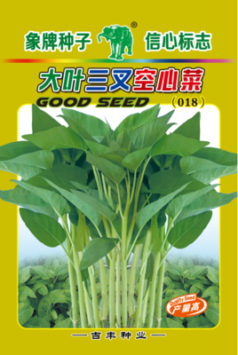 大叶三叉空心菜（018）