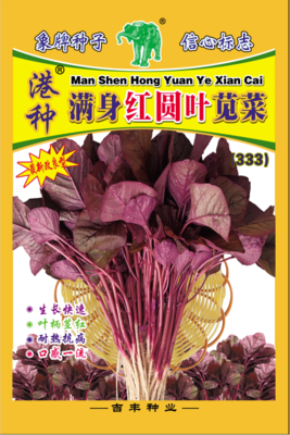 港种满身红圆叶苋菜（333）