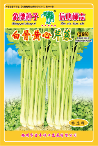 白骨黄心芹菜（268）