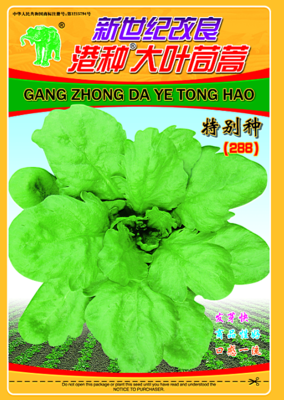 新世纪改良港种大叶苘蒿(288)