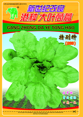 新世纪改良港种大叶苘蒿(288)