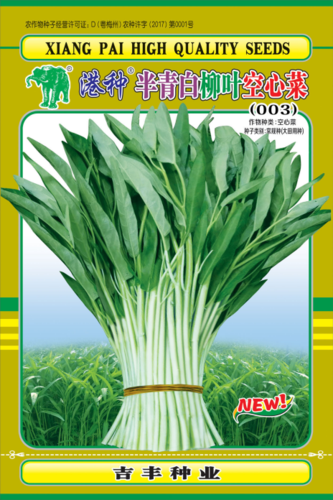 港种半青白柳叶空心菜（003）