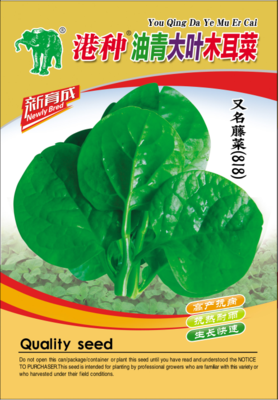 港种油青大叶木耳菜（818）