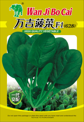 万吉菠菜F1（628）
