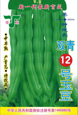 新一代最新育成港种改良双青12号玉豆