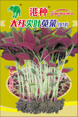 港种大红尖叶苋菜（918）