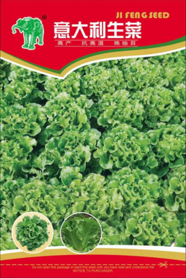 意大利生菜（G7-001）