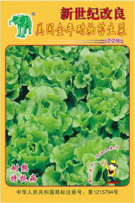 美国生菜（228）