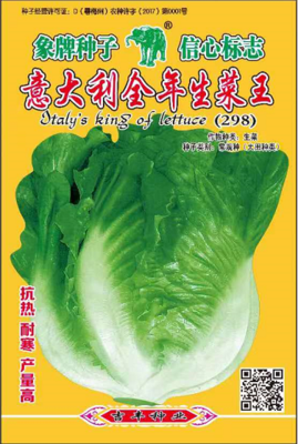 意大利全年生菜王（298）