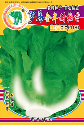 罗马生菜（118）